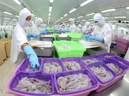 Вьетнамский экспорт морепродуктов получит наибольшую выгоду от соглашения о ЗСТ с ЕАЭС - ảnh 1
